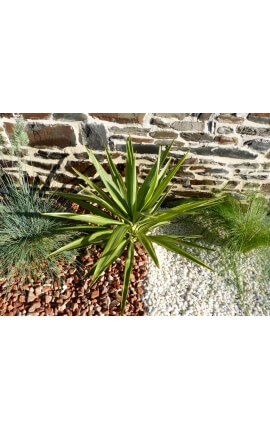 Red Pebble kaliber 12-24 mm