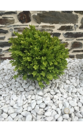 Pedras brancas brilhantes 12-24 - Saco grande a granel - 500 kg