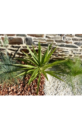 Galet Blanc Pure calibre 6-12 mm