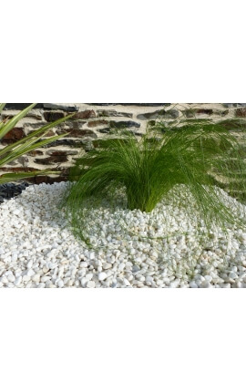 Kaliber zuiver wit kiezelsteen 6-12 mm