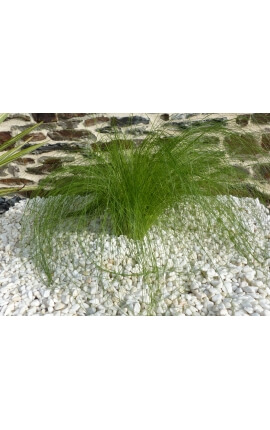 Galet Blanc Pure calibre 6-12 mm