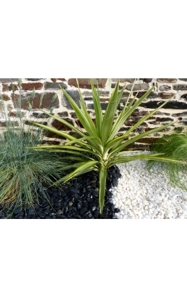 Kaliber Pure White Pebble 6-12 mm