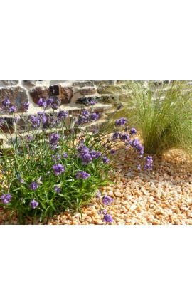 Gravier Jaune 8-12 mm