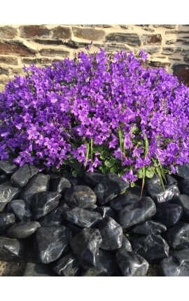 Galet noir Mat calibre 40-60 mm