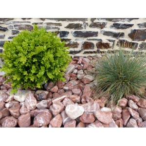 Rode kiezelsteen kaliber 40-60 mm