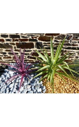 Grijze kiezelsteen 40-60 mm kaliber