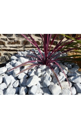 Graues Kieselkaliber 40-60 mm