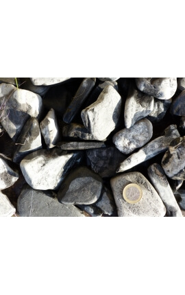 Zebrarollenkaliber 40-60 mm