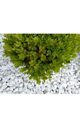 Kaliber Pure White Pebble 12-24 mm
