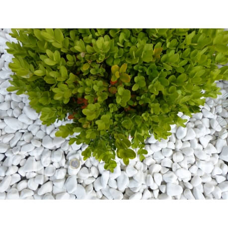 Kaliber Pure White Pebble 12-24 mm