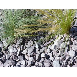 Schiefermulch Violine 30-50 - Pack 3 m² - 9 Säcke - 180 kg