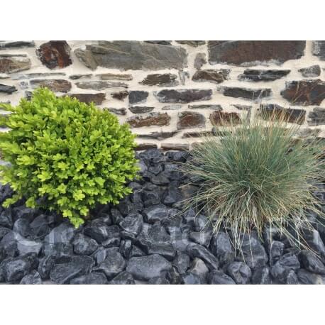 Poliertes schwarzes Kieselkaliber 40-60 mm