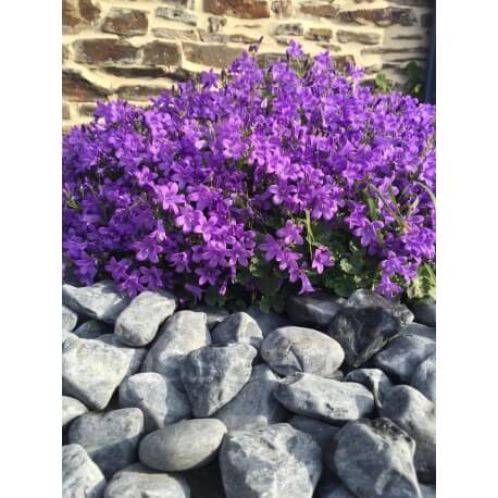 Galet Blanc Mat relief