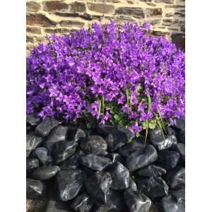 Galet noir Mat calibre 40-60 mm