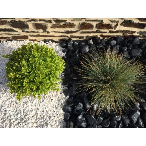 Galet Blanc Mat relief