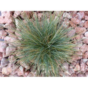 Galet Blanc Pure calibre 100-200 mm