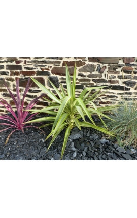 Paillage d'Ardoises NOIR calibre 24/40