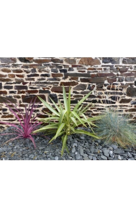 GRIJZE leisteen Mulchkaliber 30-60 mm