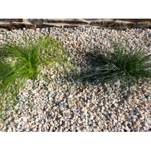 Grind Kleur HAWAÏ 6-12 Pak van 10 M² - 20 zakkens - 400 kg