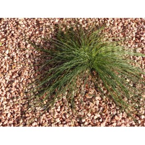 Galet Rose 6-12 Pack de 7 M² - 14 sacs - 280 kg