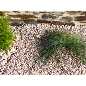 Rosa Kieselstein 6-12 Pack 10 M² - 20 Säcke - 400 kg