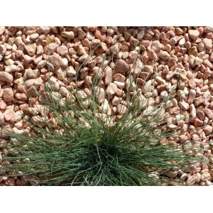 Canto Rodado Rosa 12-24 saco 20 Kg