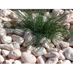 Rosa Kieselstein 40-60 - Pack 10 Säcke - 200 kg