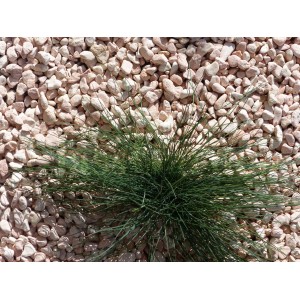 Canto Rodado Rosa 12-24 Pack 15 M² - 30 sacos - 600 kg