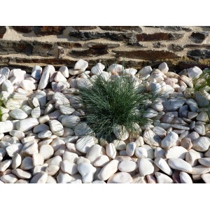 Witte Roze Kiezels 40-60 - Pak van 30 zakkens - 600 kg