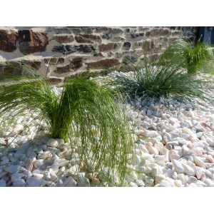 Pebble White Rosé 12-24 Pack of 7 M² - 14 bags - 280 kg