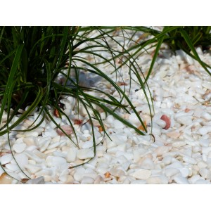 Witte Roze Kiezels 6-12 Pak van 5 M² - 10 zakkens - 200 kg