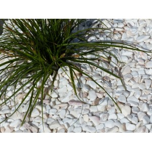 Pebble White Rosé 6-12 Pack of 5 M² - 10 bags - 200 kg