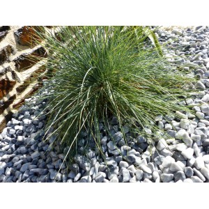 Light Grey Pebble 12-24 - BULK Big-Bag - 500 kg