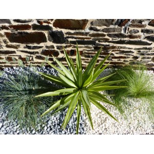 Light Grey Pebble 12-24 - BULK Big-Bag - 500 kg