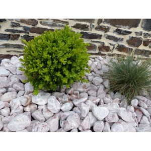 Galet Rouge calibre 40-60 mm