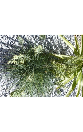 Hellgraues Kieselkaliber 12-24 mm