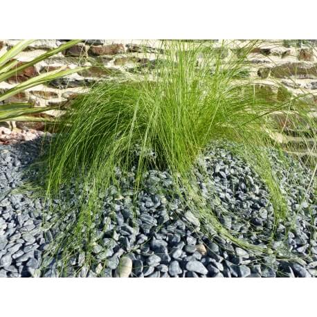 Matte Black Pebble Verpakking met kaliber 5 M² 6-12 mm