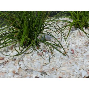 Canto Rodado Blanco Rosa 6-12 Pack 20 M² - 40 sacos - 800 kg