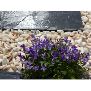 Canto Rodado Blanco Rosa 12-24 Pack 20 M² - 40 sacos - 800 kg