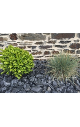 Gepolijste zwarte kiezelsteen kaliber 40-60 mm