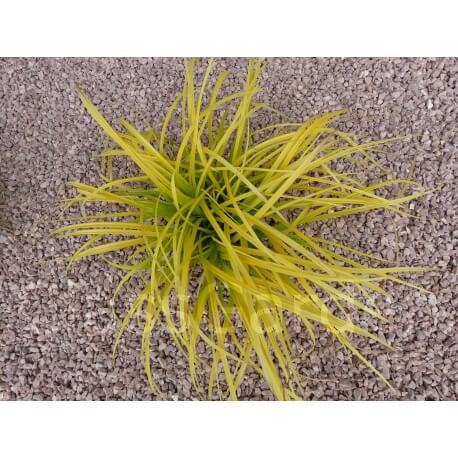 Gravier Rouge Intense calibre 6-12 mm