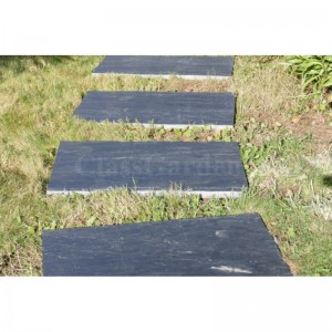 Dalle Pas Japonais Rectangulaire 100x50 - Pack 10