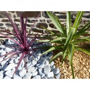 Galet Gris calibre 40-60 mm