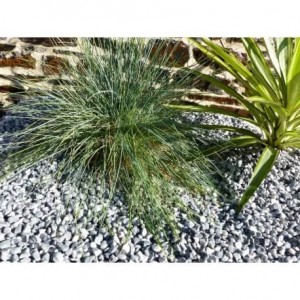 Galet Gris Clair calibre 6-12 mm