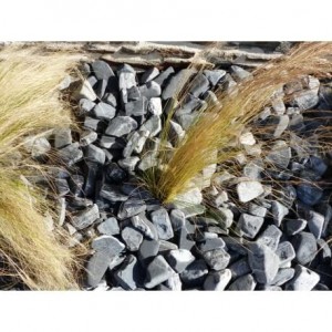 Galet Zebre calibre 40-60 mm