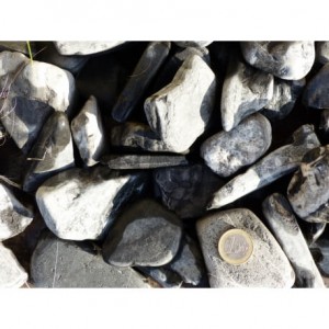 Galet Zebre calibre 40-60 mm