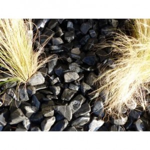 Galet Zebre calibre 40-60 mm