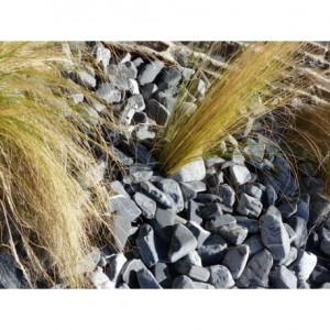 Galet Zebre calibre 40-60 mm