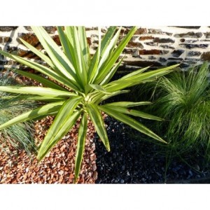 Galet Noir Mat Pack de 5 M² calibre 6-12 mm