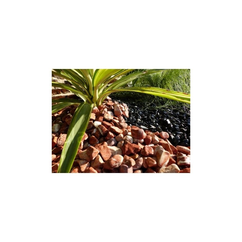 Galet Rouge Pack de 10 M² calibre 12-24 mm